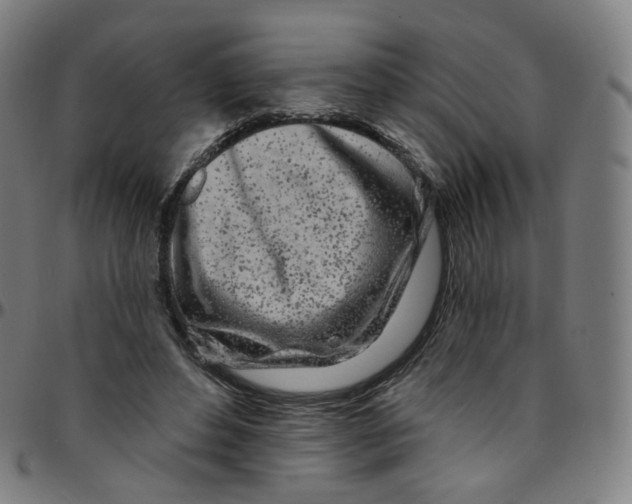 X0000095130496200801041250