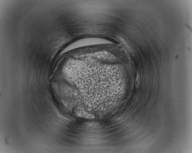 X0000095130500200801041250