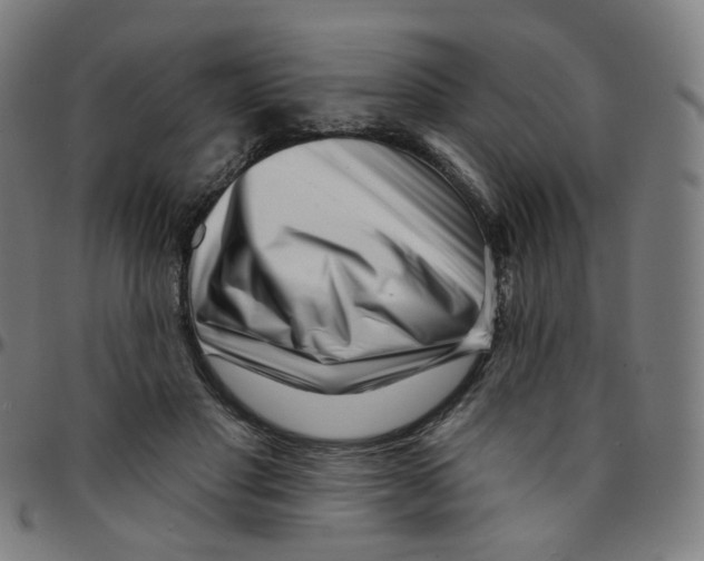 X0000095130501200801041250