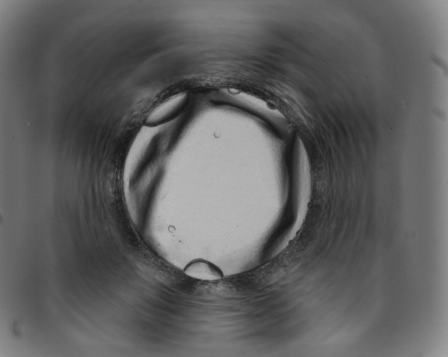 X0000095130503200801041250