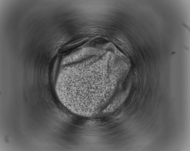 X0000095130504200801041250