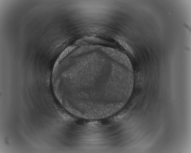 X0000095130505200801041250