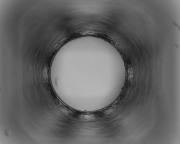 X0000095130506200801041250