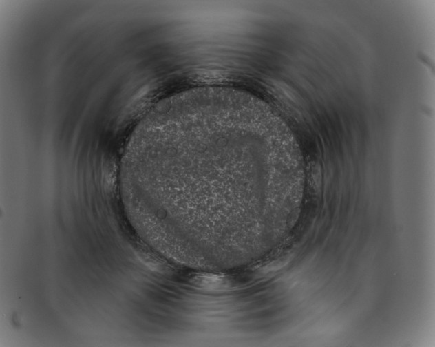 X0000095130507200801041250