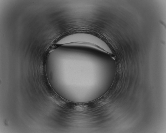 X0000095130508200801041250