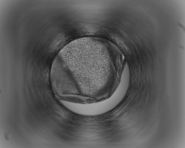 X0000095130509200801041250