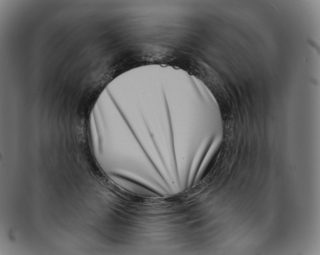 X0000095130510200801041250