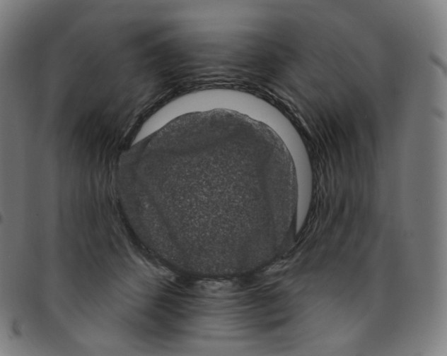 X0000095130512200801041250