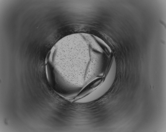 X0000095130513200801041250