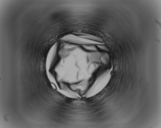 X0000095130515200801041250