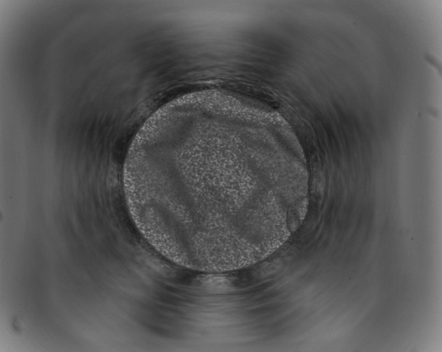 X0000095130518200801041250