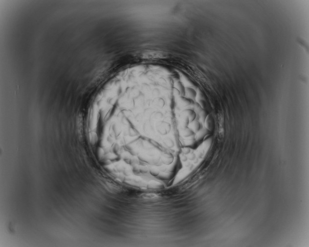 X0000095130519200801041250