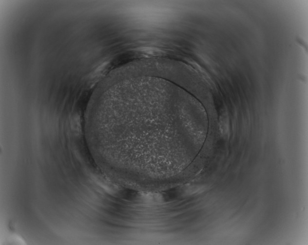 X0000095130520200801041250