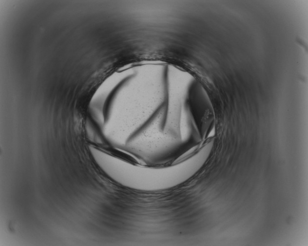 X0000095130521200801041250