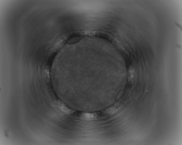 X0000095130522200801041250