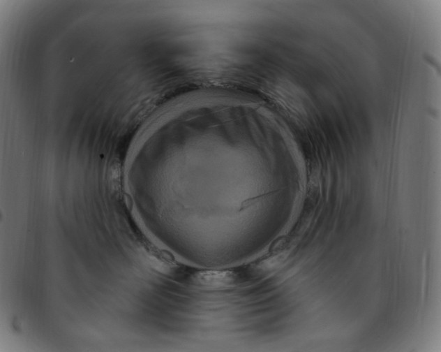 X0000095130526200801041250