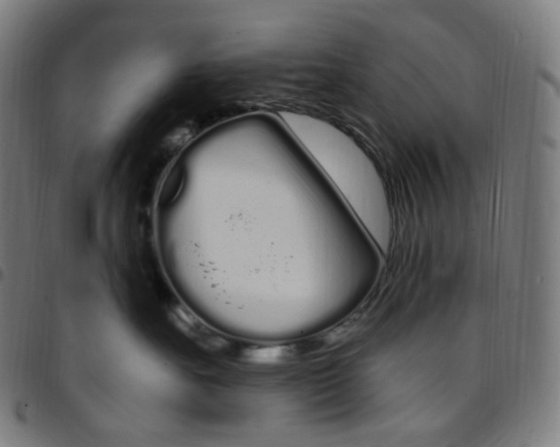 X0000095130527200801041250