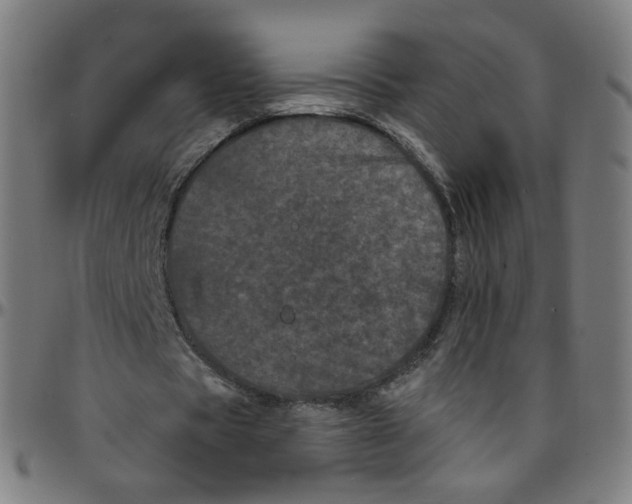 X0000095130529200801041249