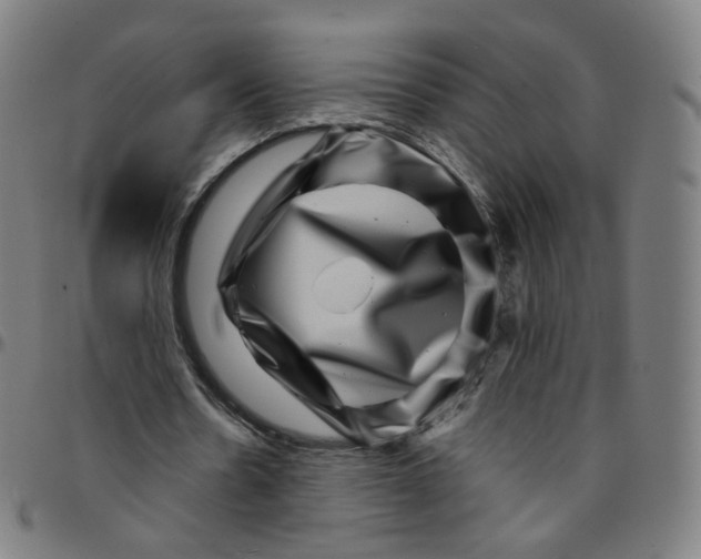 X0000095130530200801041249