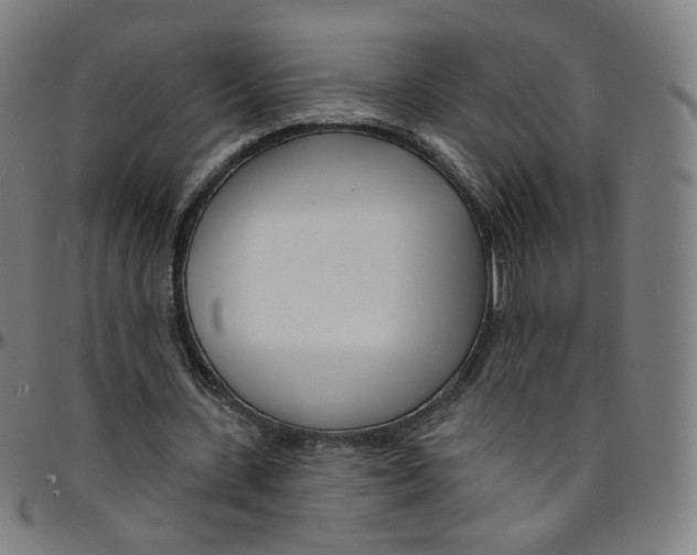 X0000095130531200801041249