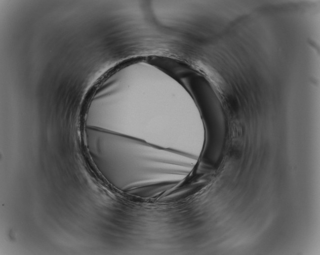 X0000095130532200801041249