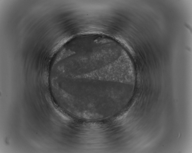 X0000095130533200801041249