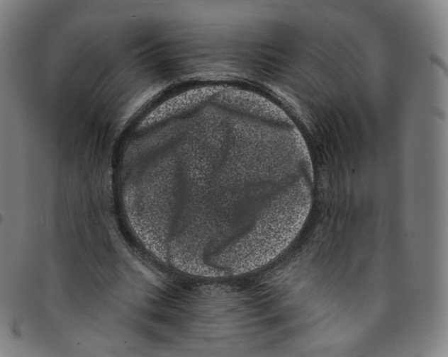 X0000095130535200801041249