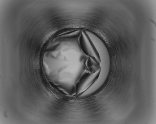 X0000095130536200801041249