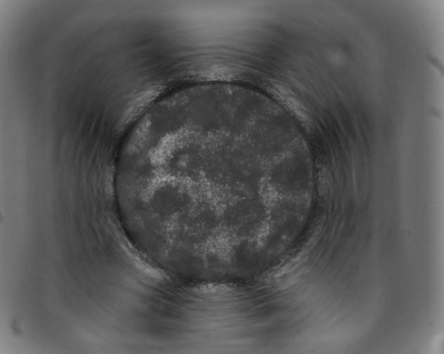 X0000095130537200801041249