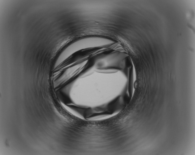 X0000095130538200801041249