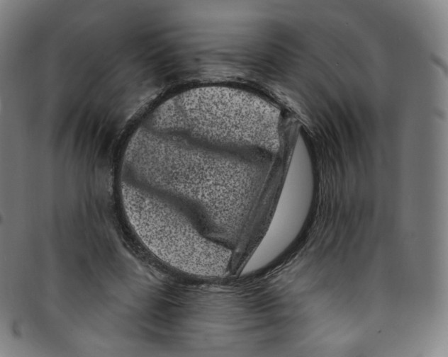 X0000095130539200801041249