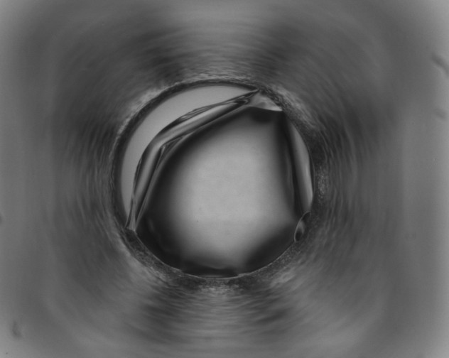 X0000095130540200801041249