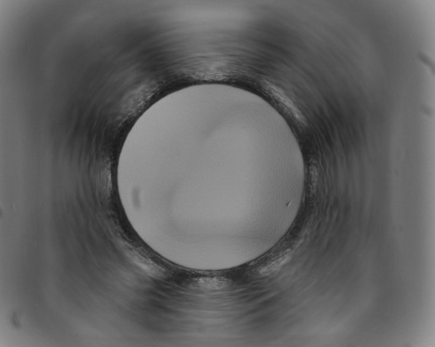 X0000095130541200801041249