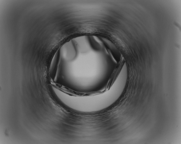 X0000095130544200801041249