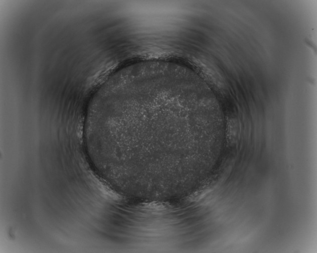 X0000095130545200801041249