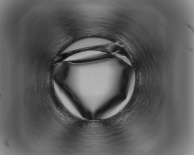 X0000095130546200801041249