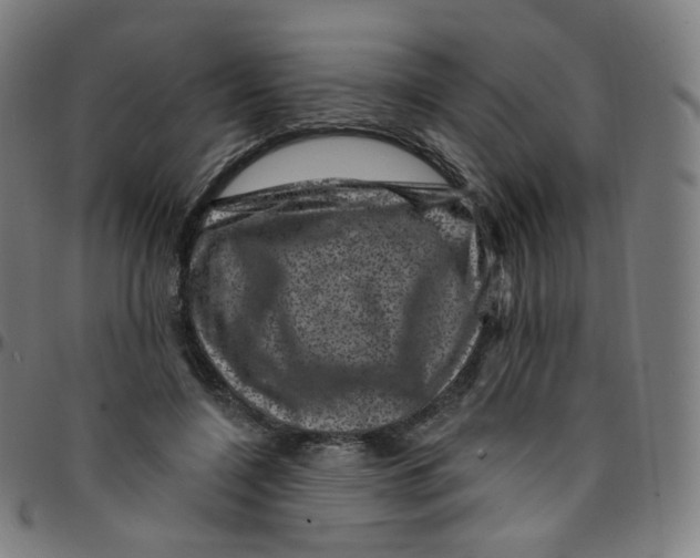 X0000095130548200801041249