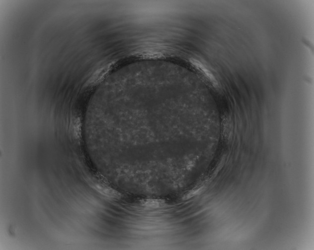 X0000095130549200801041249