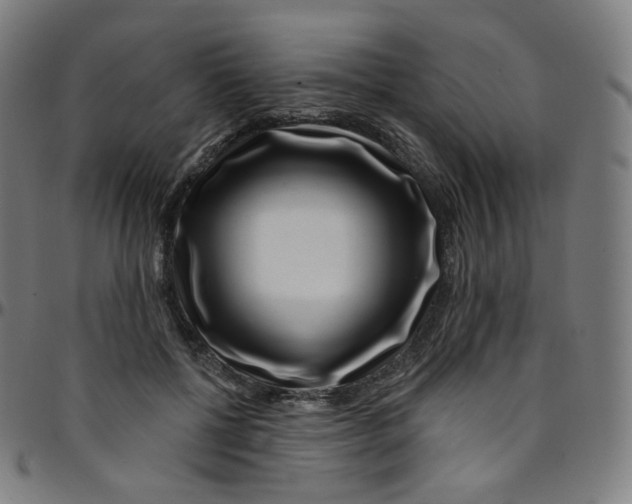 X0000095130552200801041249