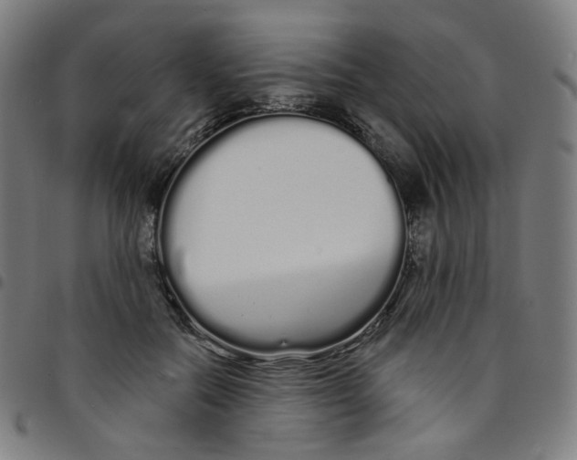 X0000095130554200801041249