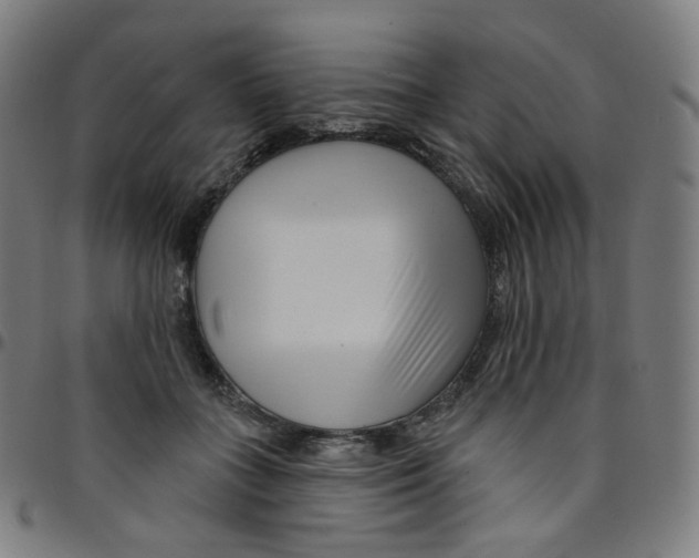 X0000095130555200801041249