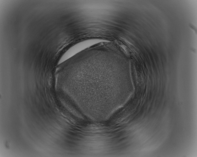 X0000095130556200801041249