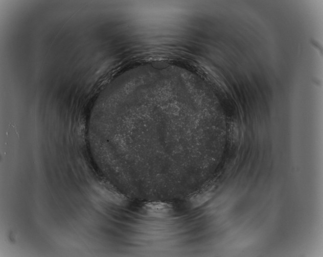 X0000095130557200801041249