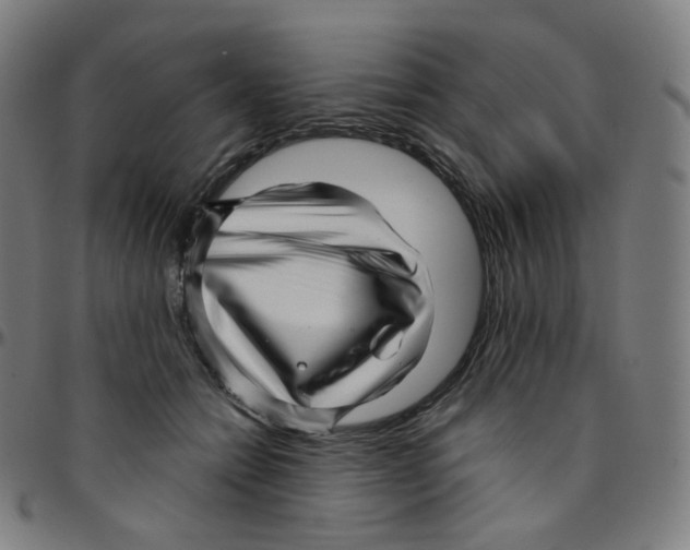 X0000095130558200801041249