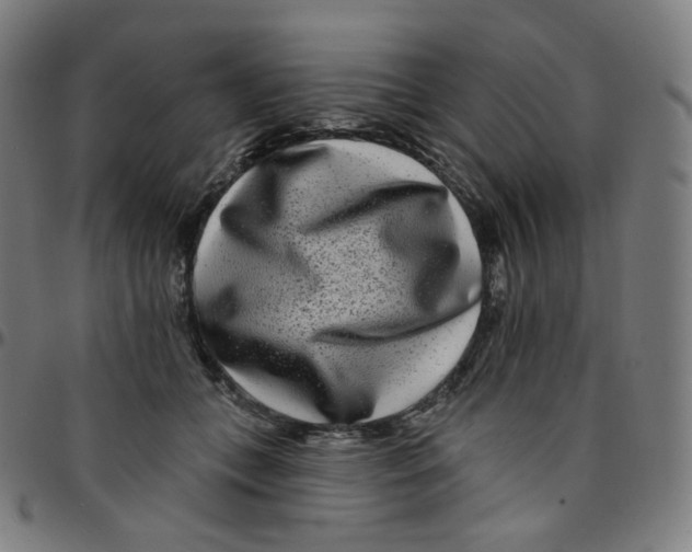 X0000095130559200801041249