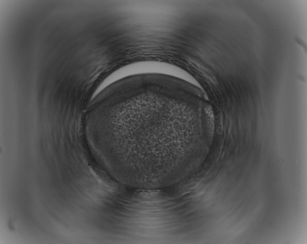 X0000095130560200801041249