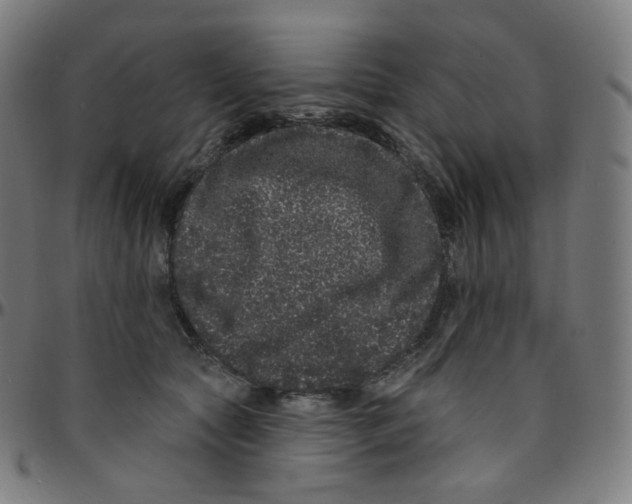 X0000095130561200801041249