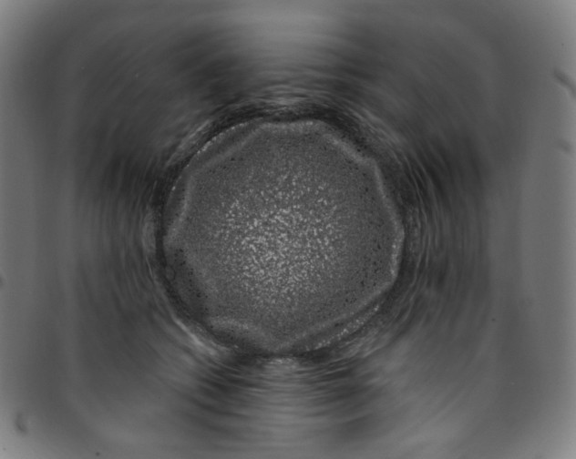 X0000095130562200801041249