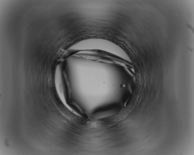 X0000095130564200801041249