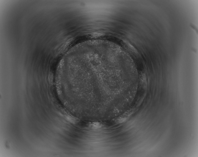 X0000095130565200801041249